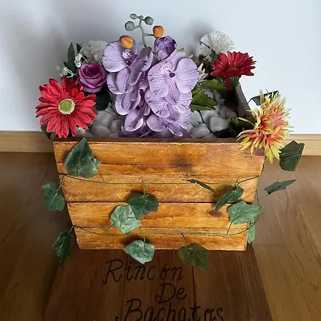 Rincon De Bachatos *