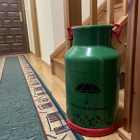 Rincon De Bachatos 別荘 *